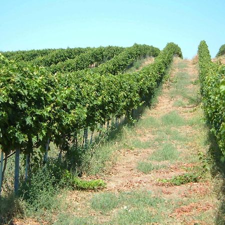 Azienda Agricola Sinisi Cerveteri Luaran gambar