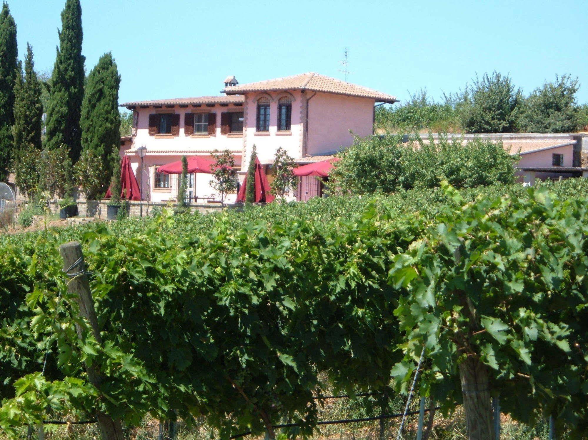 Azienda Agricola Sinisi Cerveteri Luaran gambar