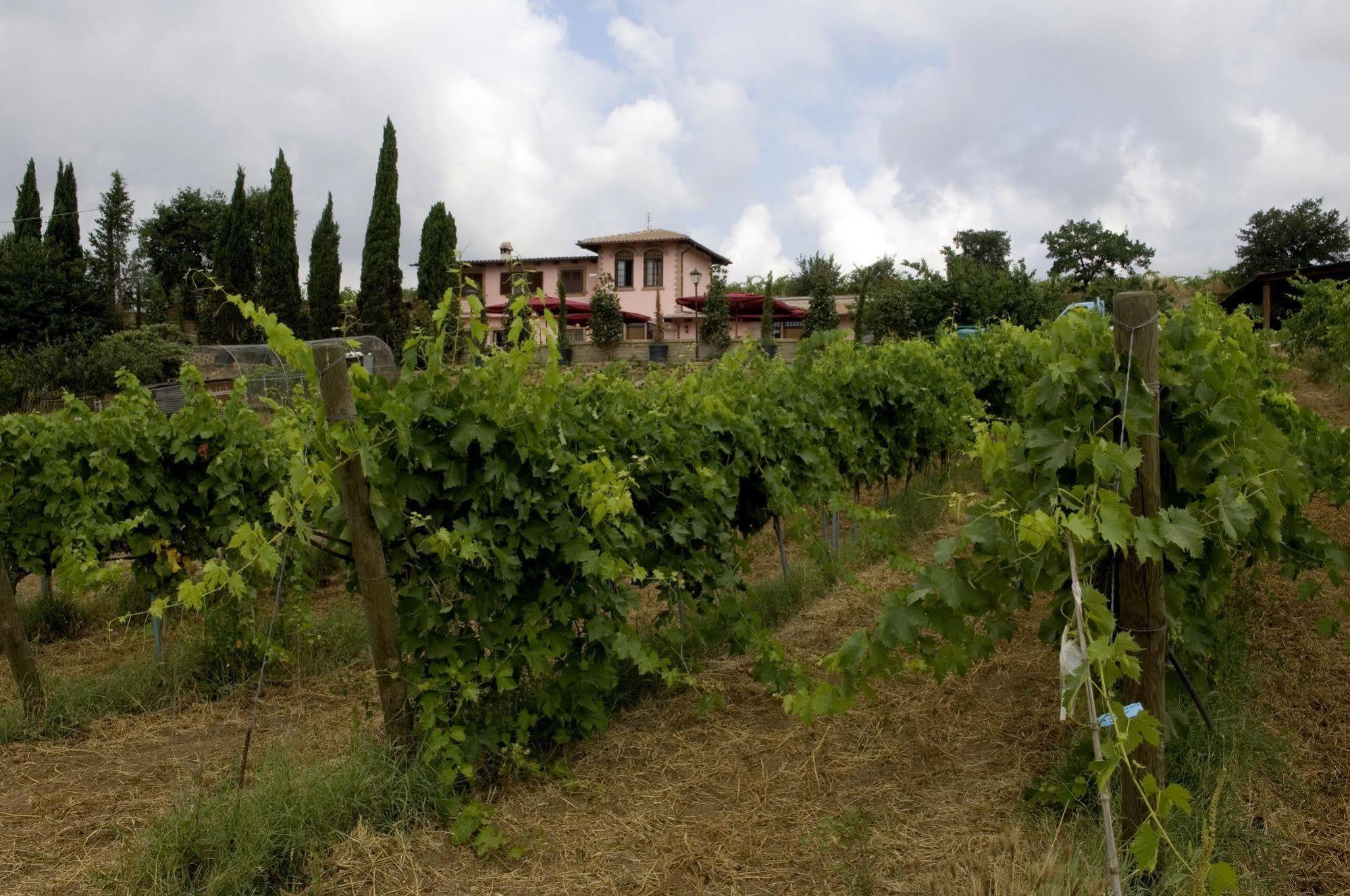 Azienda Agricola Sinisi Cerveteri Luaran gambar